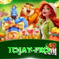 tojay Max Pro v1.4.9