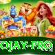 tojay Max Pro v1.4.9
