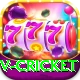 v cricket Plus v5.7.2