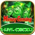watch live cricket Pro1 v3.0.3