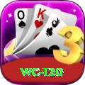 wc t20 Elite Pro v2.6.2