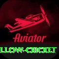 willow cricket Gold Edition v1.5.1