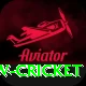 willow cricket Gold Edition v1.5.1